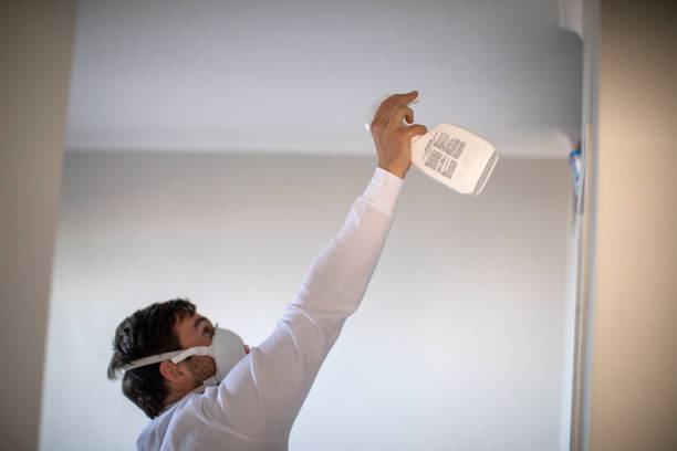 Best Insurance-Related Mold Remediation in Maplewood, MN