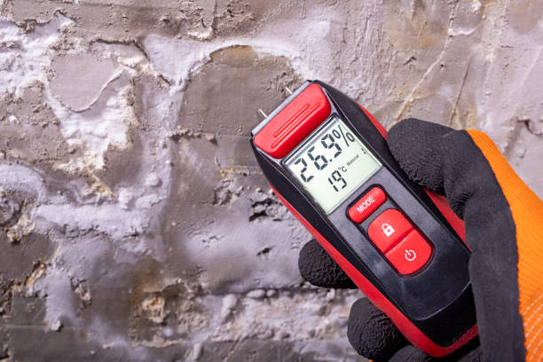 Best Post-Flood Mold Remediation in Maplewood, MN