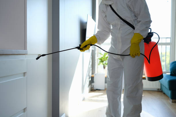 Best Mold Remediation for Specific Building Types in Maplewood, MN