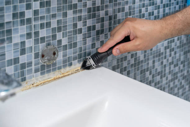 Best Health and Safety Mold Remediation in Maplewood, MN