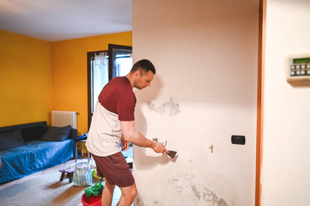 Best Emergency Mold Remediation in Maplewood, MN